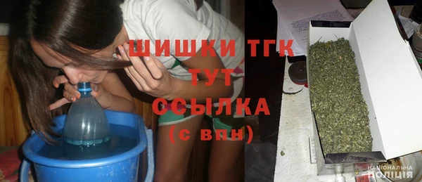 spice Аркадак