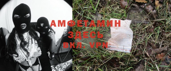 spice Аркадак