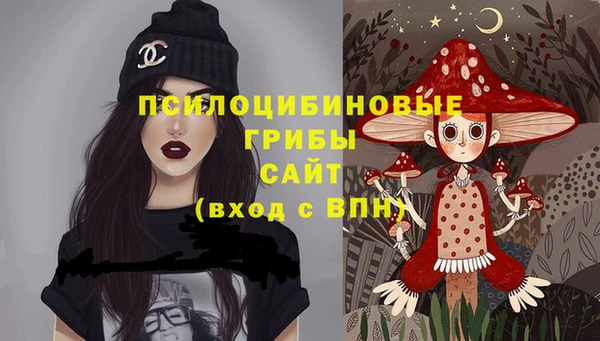 прущие крисы Арсеньев