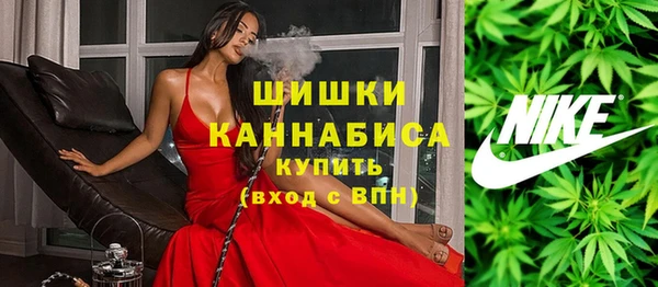 прущие крисы Арсеньев