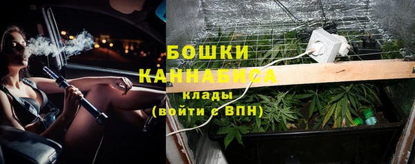 прущие крисы Арсеньев