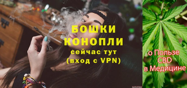 spice Аркадак