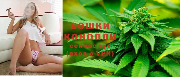 прущие крисы Арсеньев
