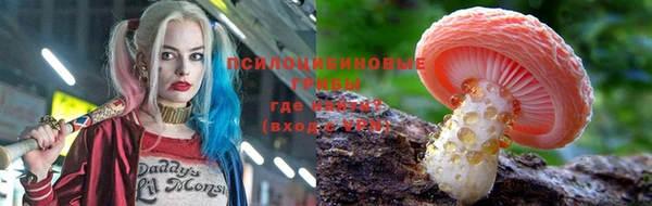 spice Аркадак