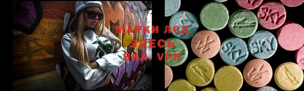 spice Аркадак