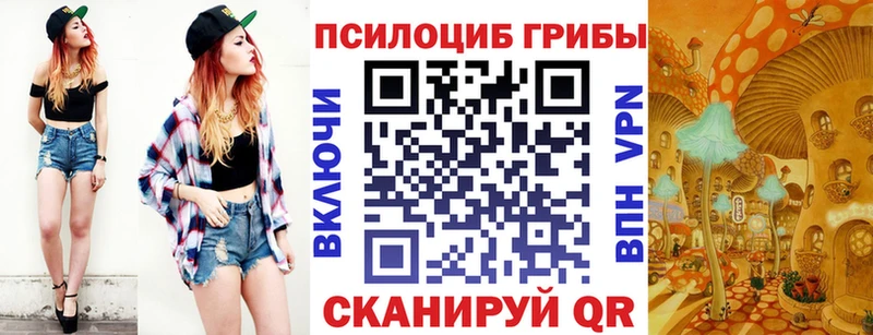 Галлюциногенные грибы GOLDEN TEACHER  Купить где  Павловская 